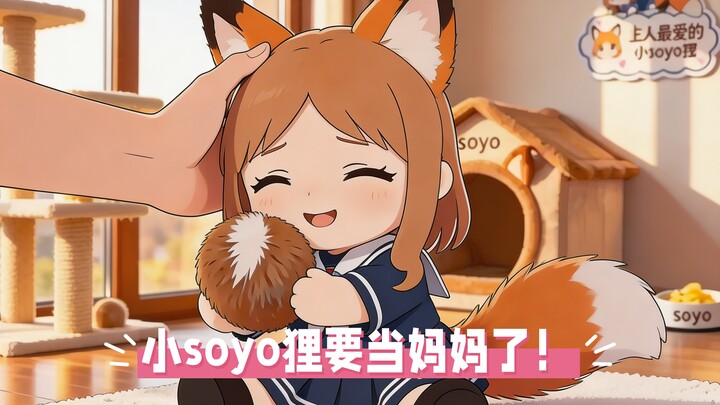 Cute little soyo raccoon is going to be a mom!