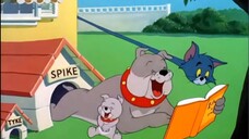 Tom and Jerry episode 79 - Life With Tom (1953)