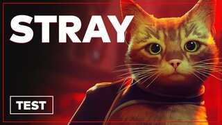 STRAY : La surprise de l'été 2022 sur PC et PS4/PS5 ?