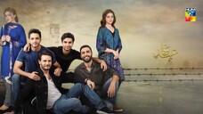 Ehd e Wafa Episode 1 _ English Sub _ Digitally Presented by Master Paints HUM TV