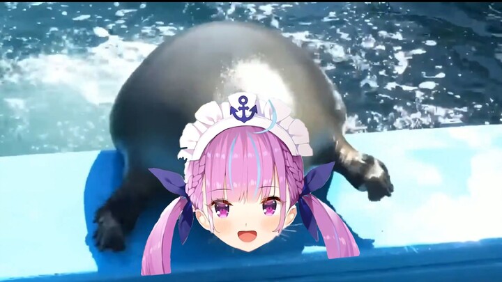 The round Aqua