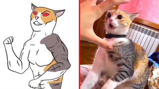 😂Cat Memes: Baki Vs Yujiro But Cats💀😅Trending Funny Animals 2023 😹