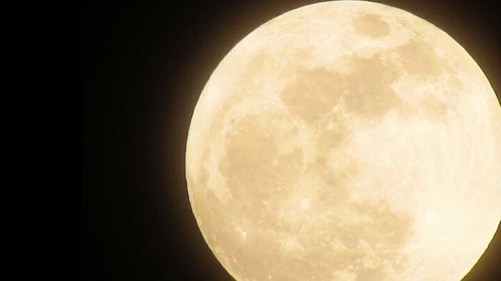 Aku...membuat video tentang mimpiku tadi malam?!