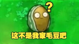 老师我们家毛豆好像鼠了