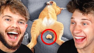 Try Not To Laugh Challenge (EXTREME)