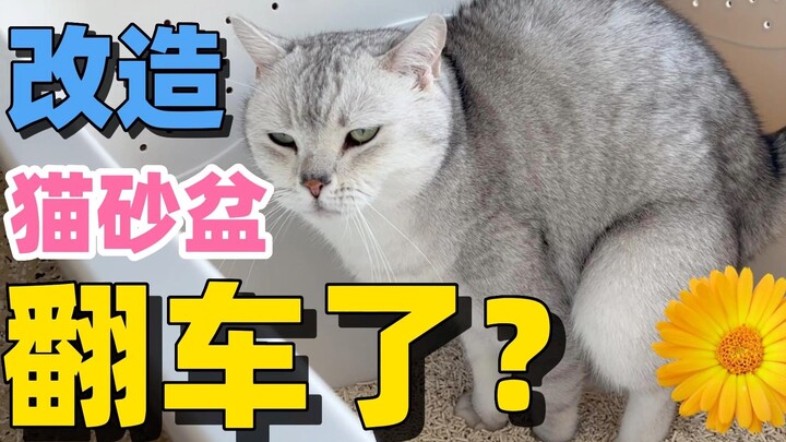 Use the litter box as you please! If it smells, I’ll admit defeat!