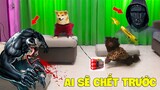Thú Cưng Vlog | Chó Shiba Ngầu Nhất Thế Giới #18 | Chó thông minh vui nhộn | Funny pet dog smart