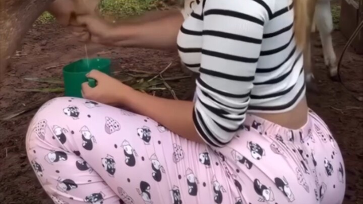 Still overwhelmingly oppressive 【TikTok cringe & absurdity log #333】