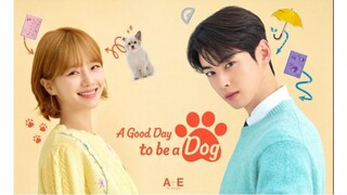 🐶 Ep.2 | Spending Lovely Time [Eng Sub] (AGDTBAD)