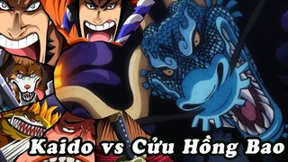 Cửu hồng bảo đại chiến Kaido