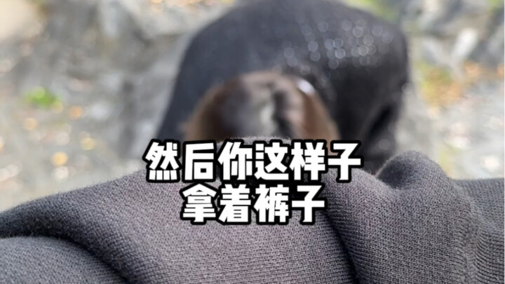 这绝对不是文化差异！这绝对不是文化差异！！这绝对不是文化差异！！！