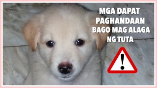 PAG-AALAGA NG TUTA (Mga Dapat Paghandaan)