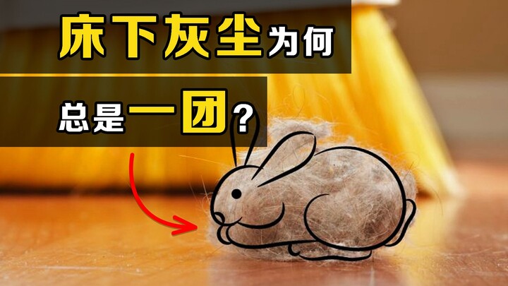 Apa itu “Chentu”? Mengapa debu tua yang lama terpendam di bawah tempat tidur selalu berubah menjadi 