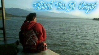 Bird In A Cage