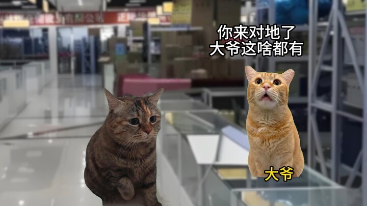 Giả vờ như Tiểu Nhật đang tìm ông lão để mua dây