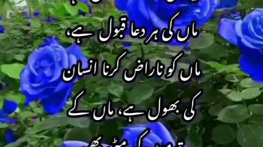 parvez