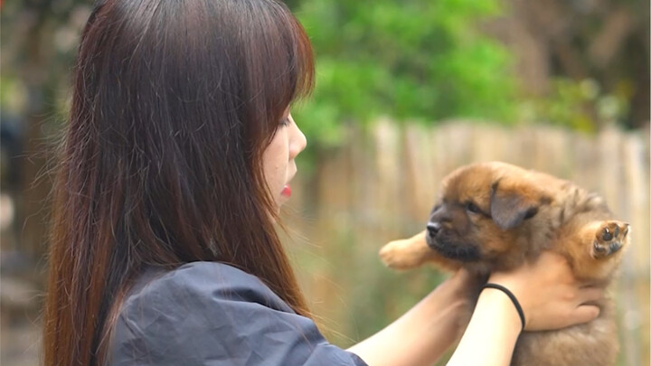 Anak-anak anjing cepat banget besarnya! Memang benar kata pepatah: anjing besar tak bisa ditahan!