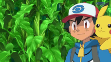 Pokemon Best Wishes Episode 99 Sub Indo