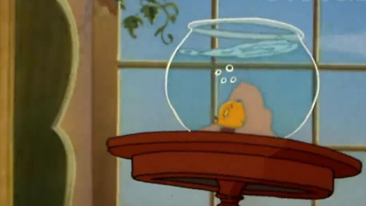 When the instructor's fighting power is strong