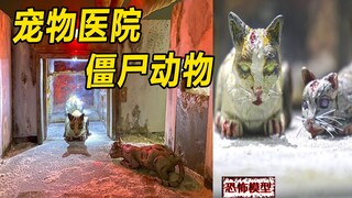 模型：可怜的小猫做错了什么，结局这么惨，还害了整个宠物医院？