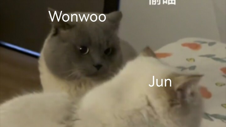 Youhui's Reflections on Kraland Island