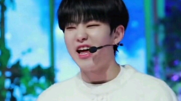 hoshi membuat dukungan subwoofer untuk Wonwoo, para K-ra sangat manja haha