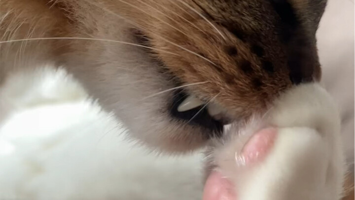 Bahkan nggak usah berpura-pura lagi.