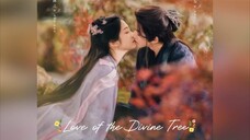 Love of the Divine Tree | February 7