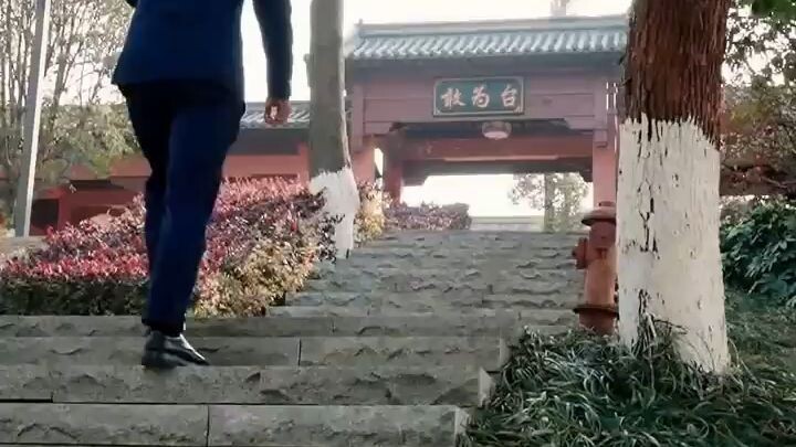 [MULTI SUB] The Little Taoist’s Salvation Story.