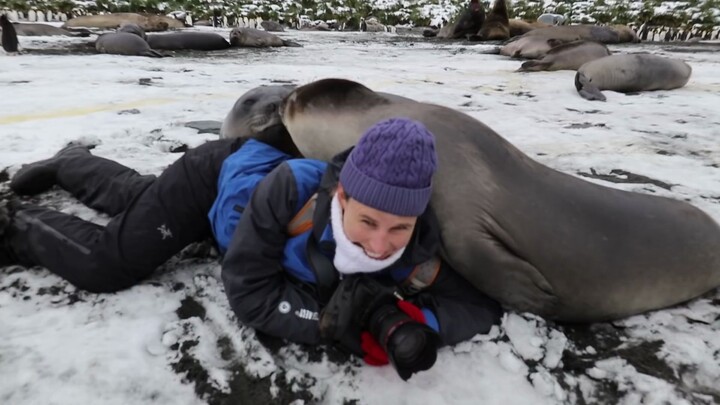 Being a wildlife photographer is really dangerous