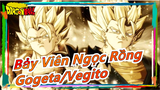 [Bảy Viên Ngọc Rồng/⚠️Kinh điển⚠️] Gogeta/Vegito|Vegito vô địch, Gogeta mạnh nhất
