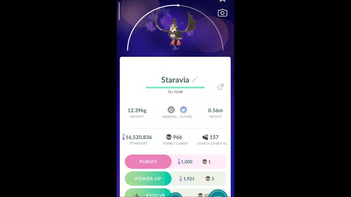 Pokémon GO-Purifying Shadow Staravia