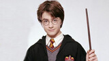 Video clip of Harry Potter- Harry Potter's snake spell