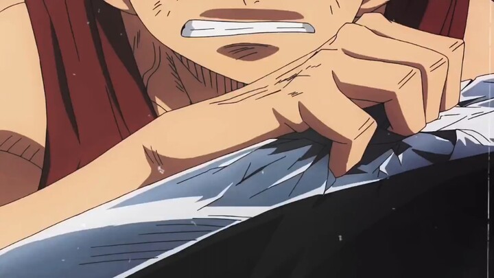 From now on, Luffy will protect Nami.