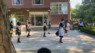 社团大集还得是潍坊一中本部好的吧