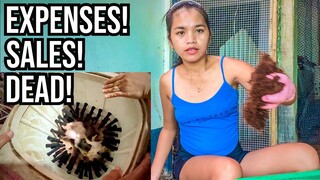 Philippines Life: What happened to my Chicken business!!!