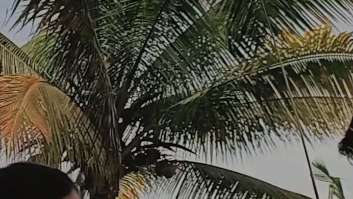 the time before back to school