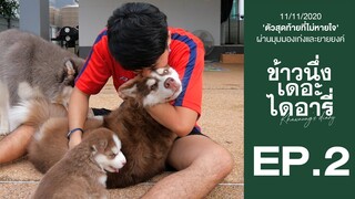 ตัวสุดท้ายที่ไม่หายใจ...ข้าวนึ่ง เจ้าบุญรอด - ข้าวนึ่งเดอะไดอารี่ EP.2