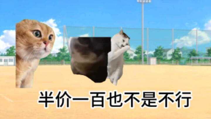 【Meme mèo】Câu chuyện mẹ dễ dàng mặc cả xuống còn một phần mười giá gốc