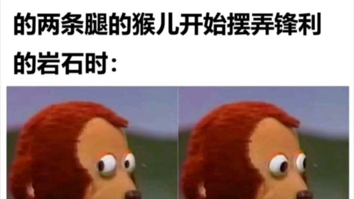 เมื่อเจ้าลิงสองขาเริ่มจัดการกับหินแหลมคม...
