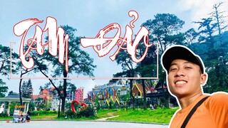 Lịch trình Phượt " Tam Đảo " 2 ngày 1 đêm | Tam Đảo có đẹp Như lời Đồn?