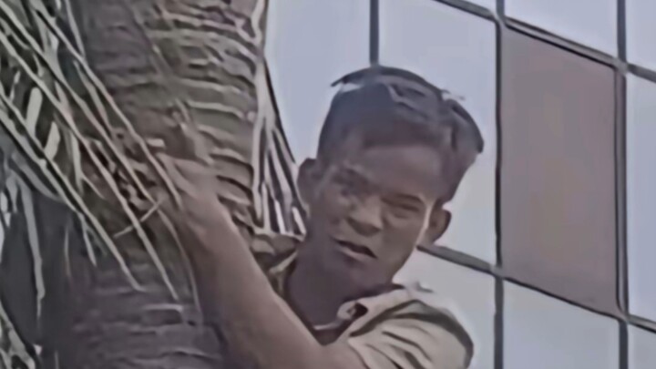 All the coconuts are grown by my grandpa. They’re picked fresh and sold right away—no middleman invo