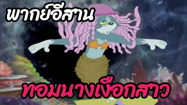 มาแล้วจ้านางเงือกทอม พากย์อีสาน ทอมแอนด์เจอร์รี่