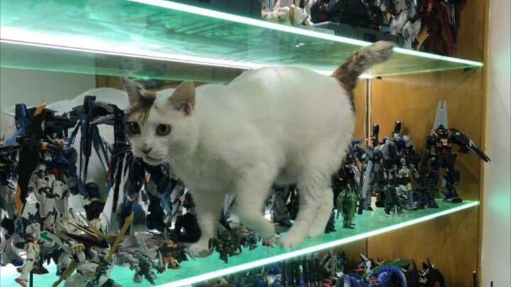 Sudden Cardiac Arrest!