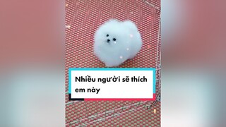 Có vài chục củ các bạn sẵn sàng bỏ ra để đón em về khôngnguyenkienpom phocsoc chó chó_cưng pomerian