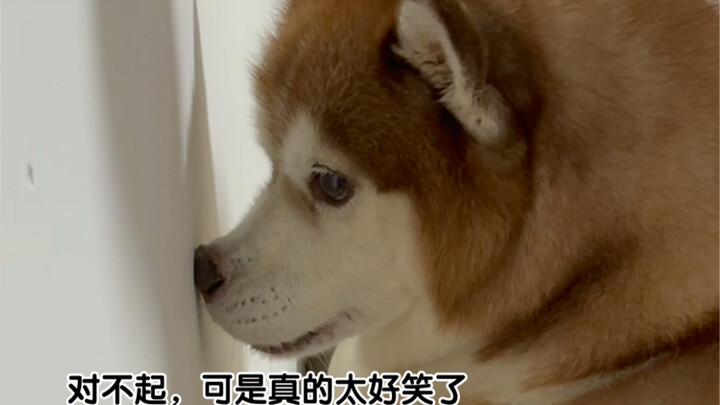 บางข้อสอบ รู้คำตอบในใจอยู่แล้ว แต่…ก็ยังอยากดูแค่เรื่องตลกๆ สักหน่อยแหละ…