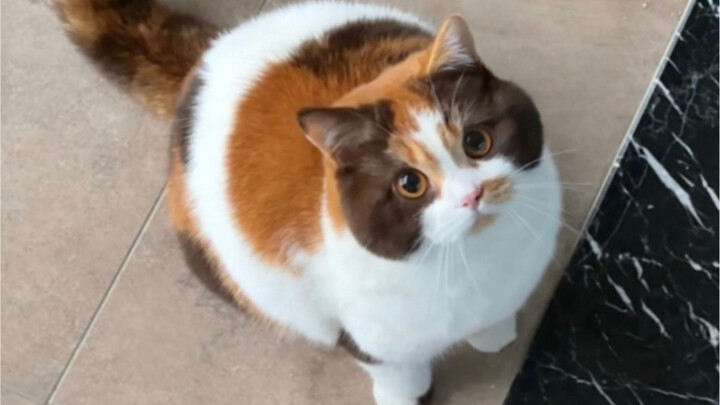 ถ่ายทีเดียวจบ