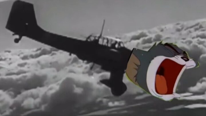 Tom + Stuka = ?