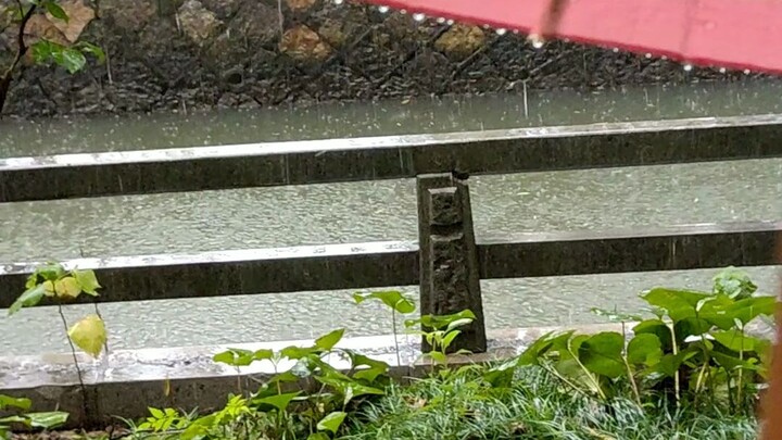 يجب أن تثق بحكمة الأجداد، فلو علموا أننا لا نجرؤ حتى على استخدام مظلات ورق الزيت للوقاية من المطر، أ