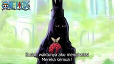 MAKIN RAME ! SEMUA YONKOU AKAN BEKERJASAMA UNTUK MENGALAHKAN IM SAMA